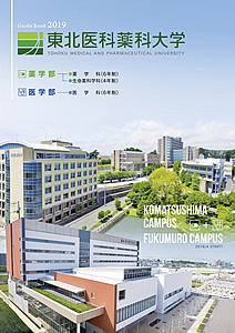 大学案内