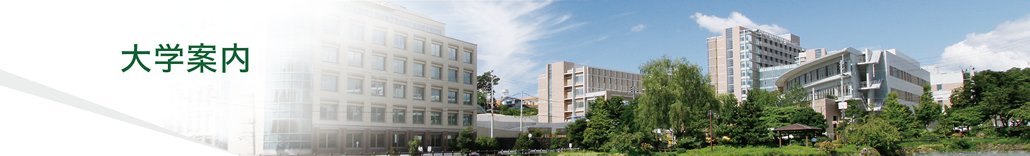 大学案内