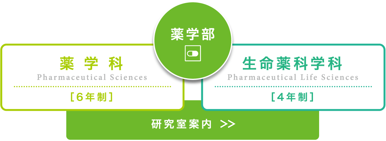 薬学部 薬学科 生命薬科学科 研究室紹介