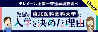 tohokuikayakka_330_110
