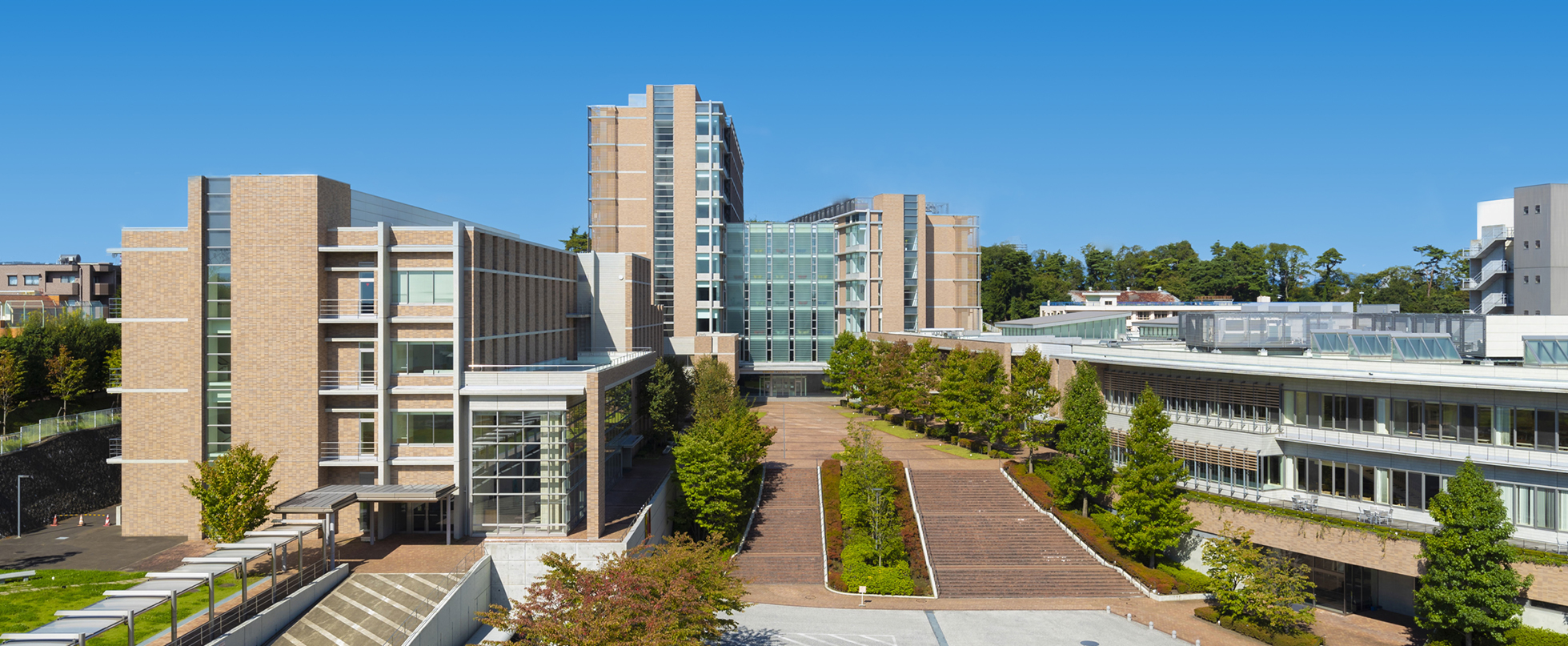 大学 薬学部 東北