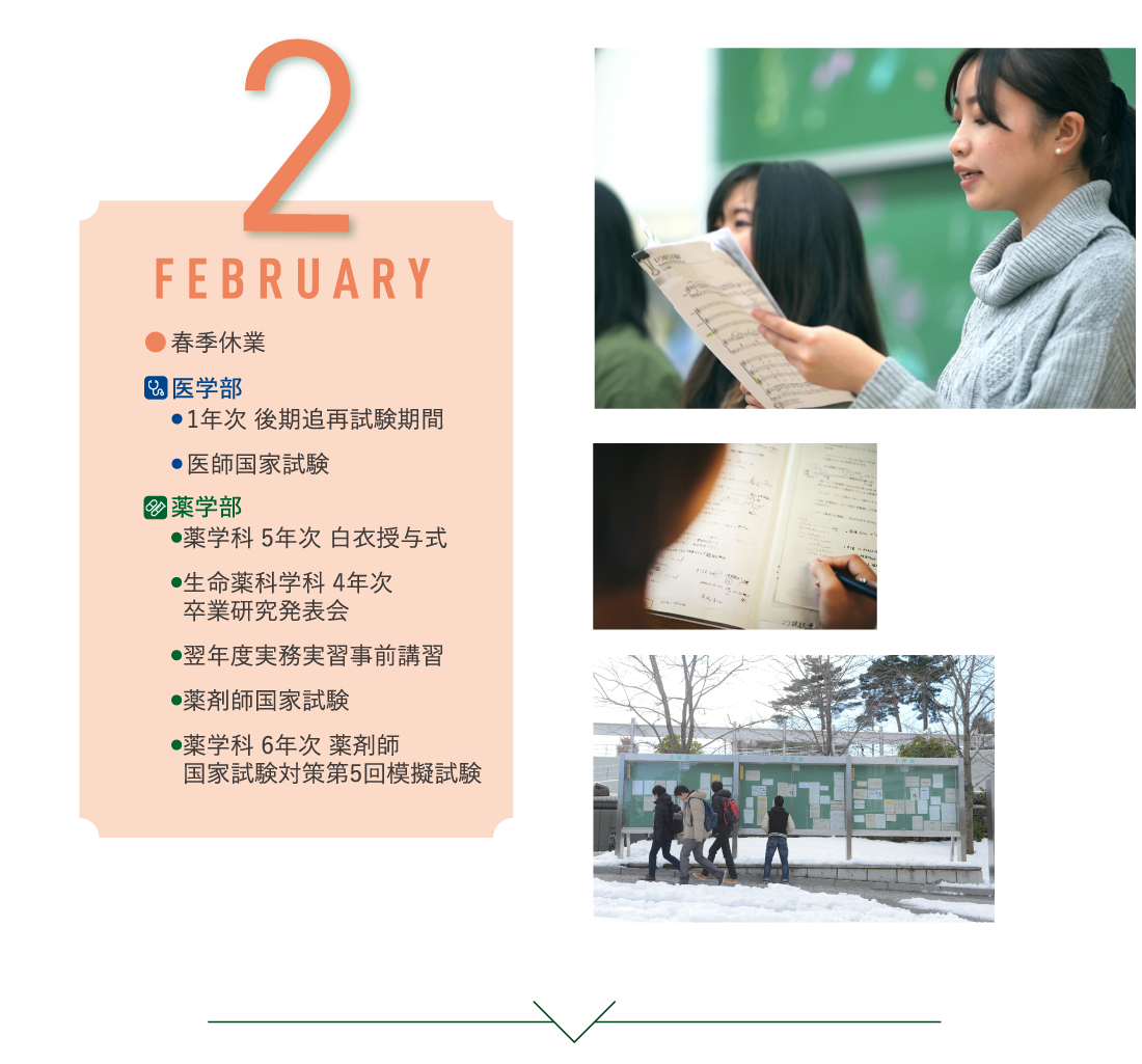 2月 春季休業/薬学部・薬学科 5年次 白衣授与式・生命薬科学科 4年次・卒業研究発表会・翌年度実務実習事前講習・薬剤師国家試験・薬学科 6年次 薬剤師・国家試験対策第5回模擬試験/医学部・1年次 後期追再試験期間・ 医師国家試験