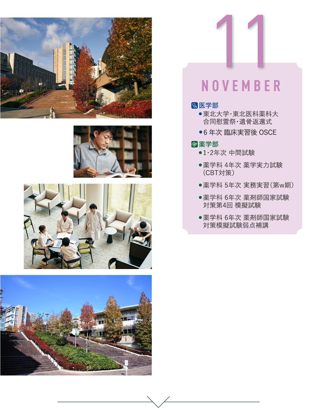 11月 薬学部・1・2年次 中間試験・薬学科 4年次 薬学実力試験(CBT対策）・薬学科 5年次 実務実習（第w期）・薬学科 6年次 薬剤師国家試験・対策第4回 模擬試験・薬学科 6年次 薬剤師国家試験・対策模擬試験弱点補講/医学部・東北大学・東北医科薬科大・合同慰霊祭・遺骨返還式