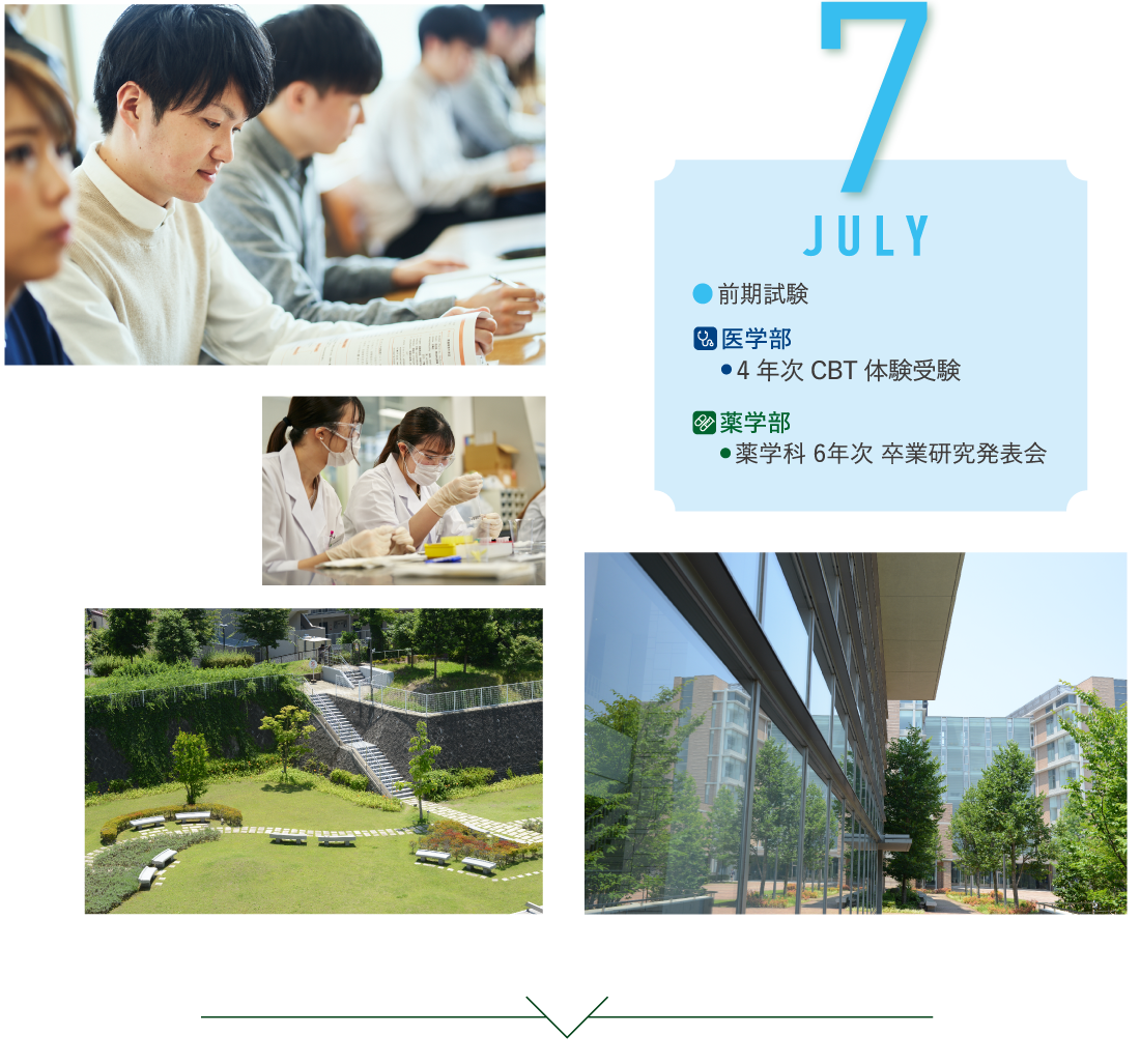 7月 前期試験/薬学部・薬学科 6年次 卒業研究発表会