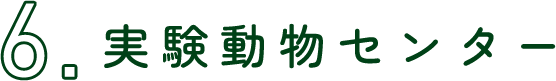 実験動物センター