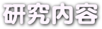  研究内容