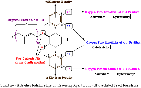 コ フォア ファーマ 分子構造重ね合わせによるファーマコフォアモデル構築手法の開発とPDE4阻害剤への応用