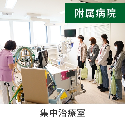POINT3画像2
