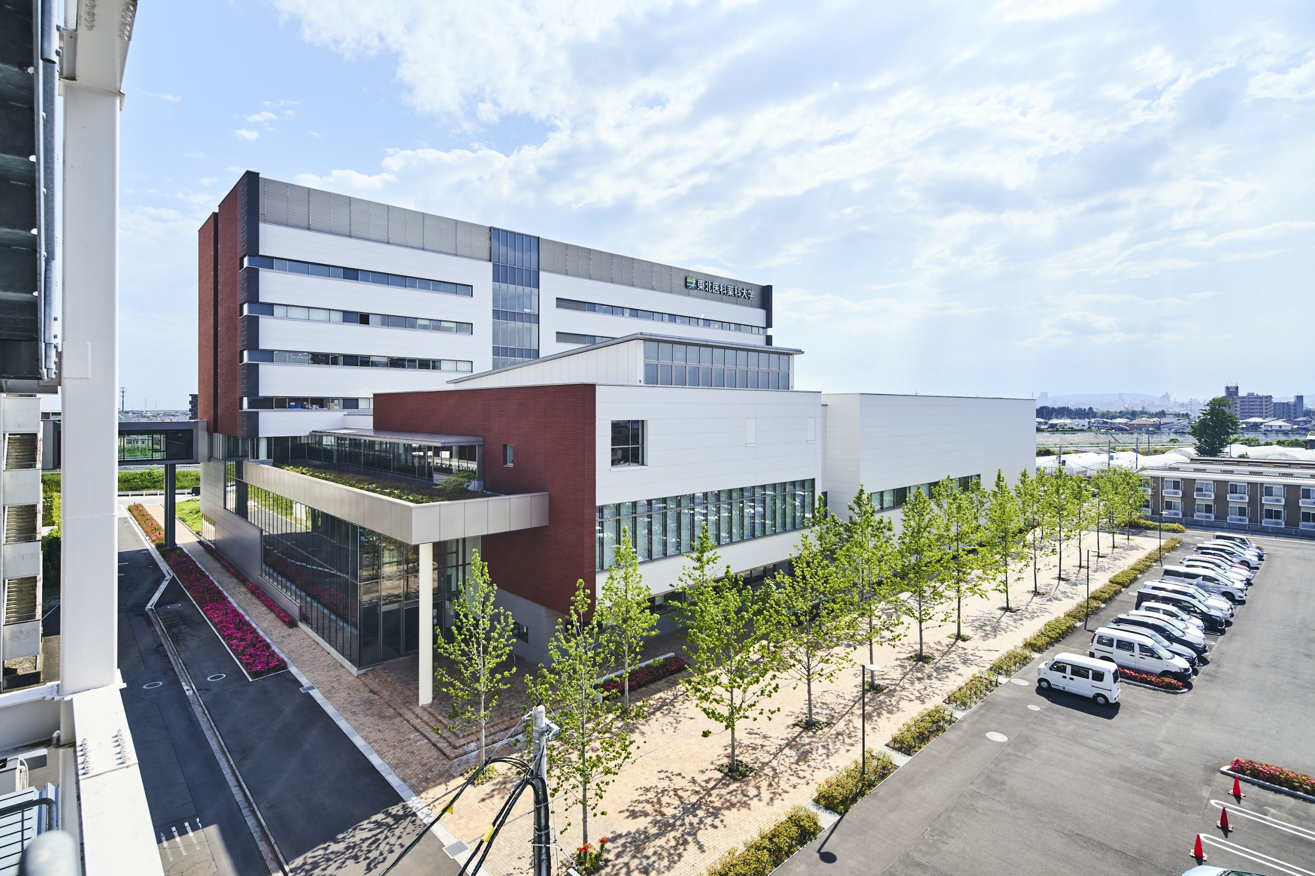 東北医科薬科大学 東北医科薬科大学